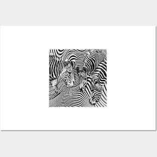 Zebra Stripes Abstract Posters and Art